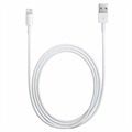 Original Apple Lightning Cable MXLY2ZM/A - iPhone, iPad, iPod - White - 1m