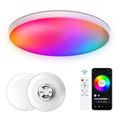 30W Smart LED Ceiling Light RGB/CCT with Bluetooth, Voice-Control