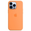 iPhone 13 Pro Apple Silicone Case with MagSafe MM2D3ZM/A