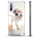 Huawei P20 Pro Hybrid Case - Dog