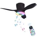 LEC016R RGB Ceiling Fan Light with Bluetooth Speaker