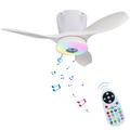 LEC016R RGB Ceiling Fan Light with Bluetooth Speaker - White