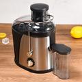 Multifunctional 2-Speed Slow Juicer with Juice Container - Silver / Black