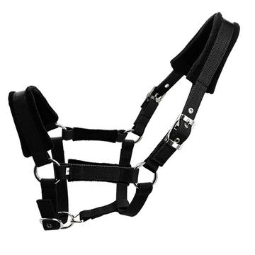 Padded Horse Halter 25mm - Size XL - Black