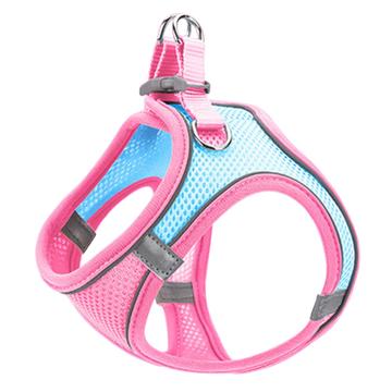Reflective Cat/Dog Harness with Leash - S