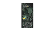 Google Pixel 6 Pro Cases & Accessories