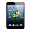 iPad Mini 3 Diagnosis