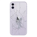 iPhone 11 Back Cover Repair - Glass Only - Purple
