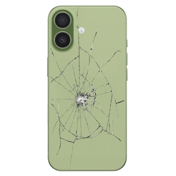 iPhone 17 Back Cover Repair - Glass Only - Sage