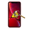 iPhone XR Diagnosis