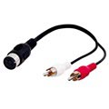 Goobay 5 Pin DIN /2x RCA Cable Adapter - 0.2m