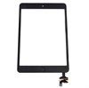iPad mini Display Glass & Touch Screen - Black
